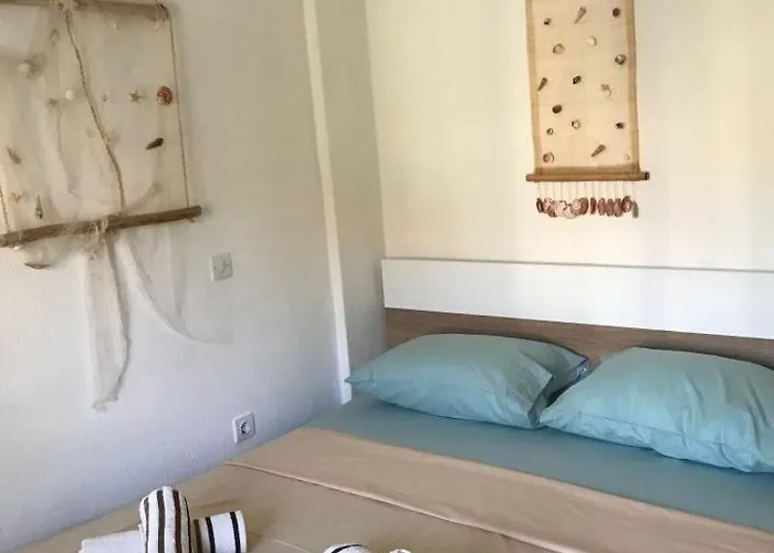 Harmony Apartment